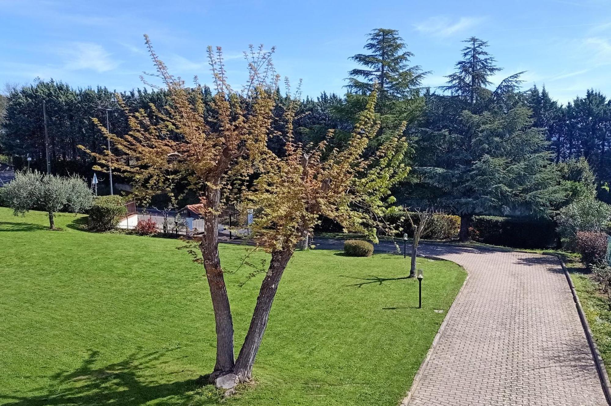 Vila Casa Del Carmine Anghiari Exteriér fotografie